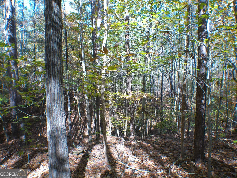 0 Dusty RD Bowman, GA 30624