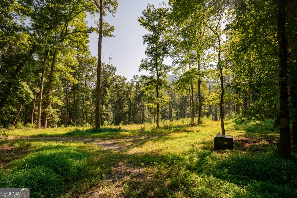 0 Old Rock Creek RD Blue Ridge, GA 30513