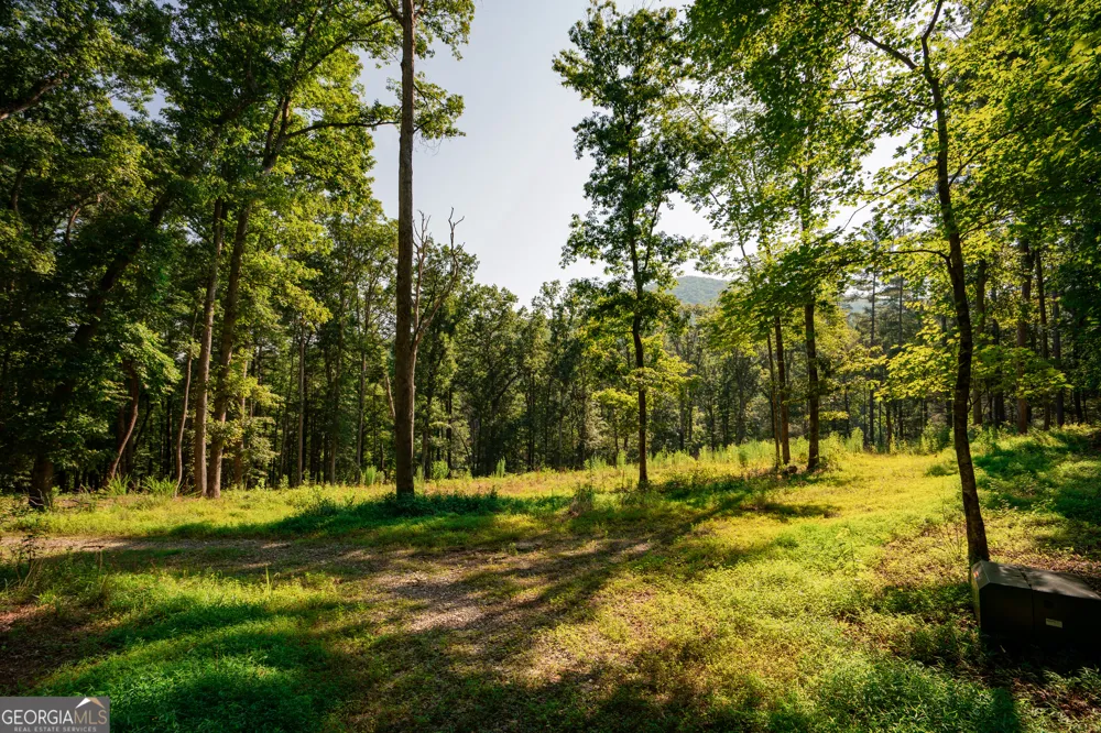 0 Old Rock Creek RD Blue Ridge, GA 30513