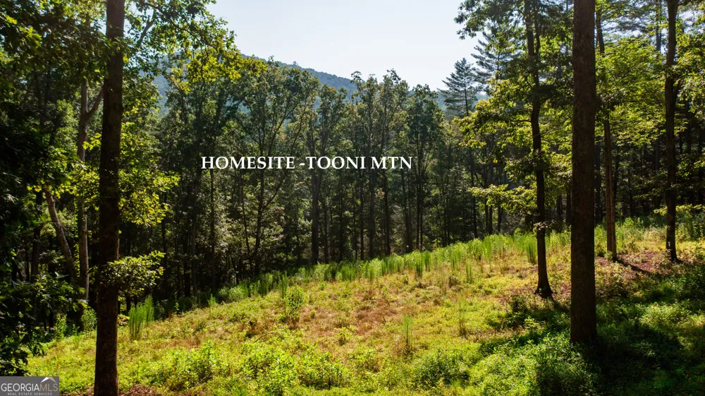0 Old Rock Creek RD Blue Ridge, GA 30513