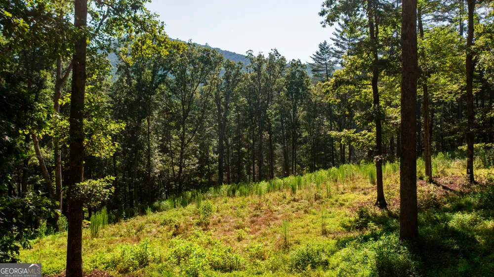 0 Old Rock Creek RD Blue Ridge, GA 30513