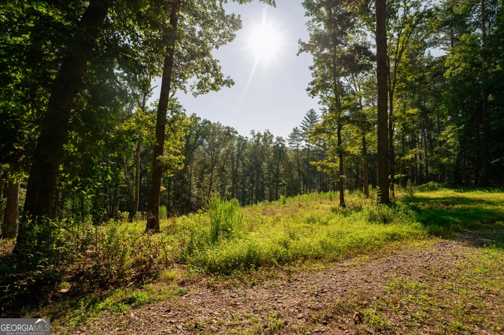 0 Old Rock Creek RD Blue Ridge, GA 30513