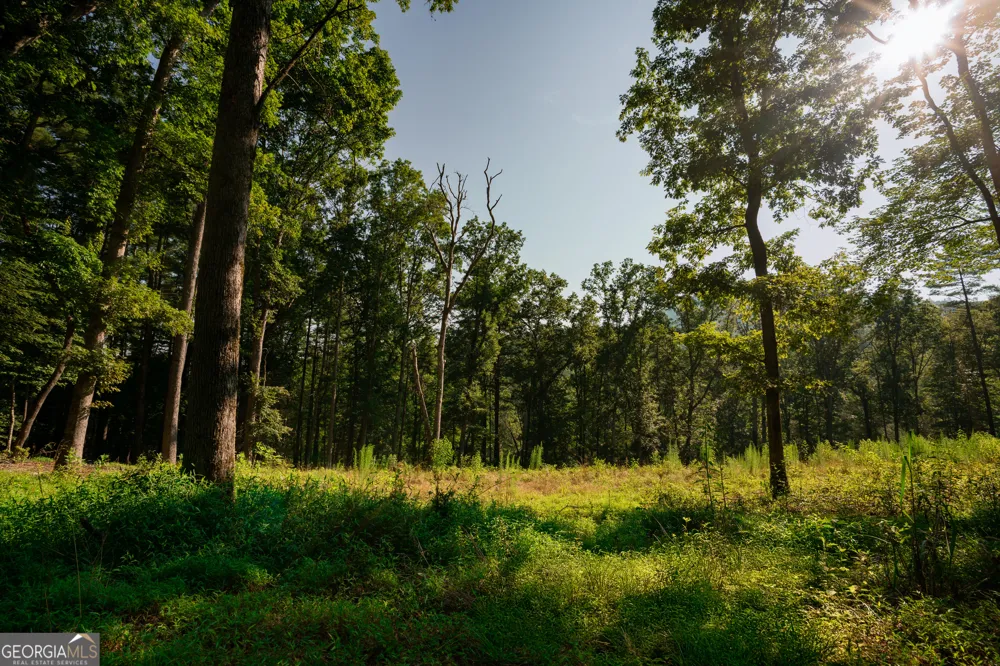 0 Old Rock Creek RD Blue Ridge, GA 30513