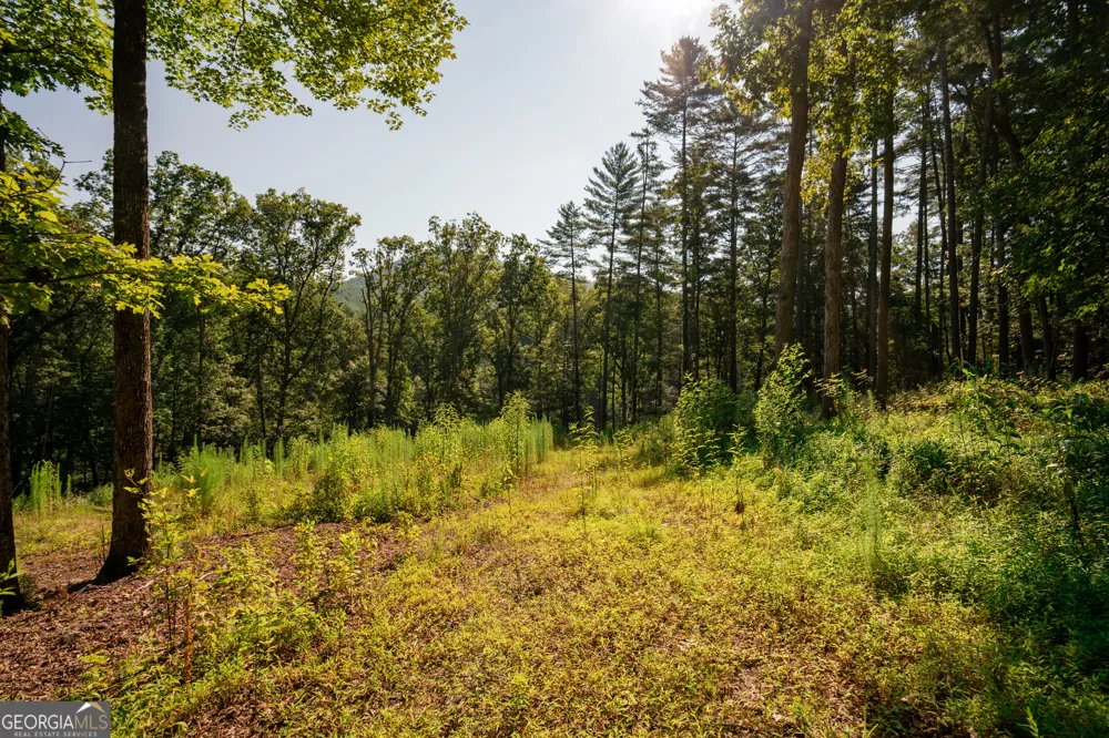 0 Old Rock Creek RD Blue Ridge, GA 30513
