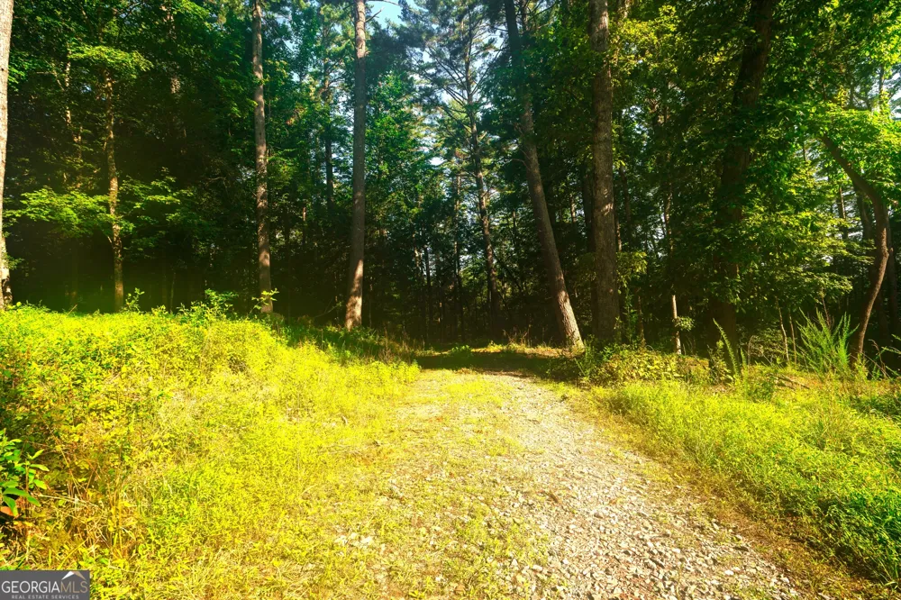 0 Old Rock Creek RD Blue Ridge, GA 30513