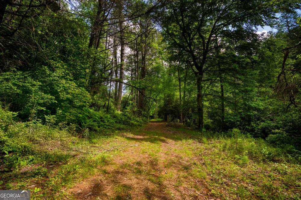 0 Old Rock Creek RD Blue Ridge, GA 30513