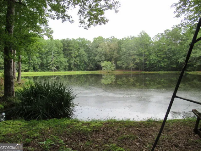 191 Tumlin Creek RD Roopville, GA 30170