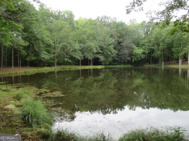 191 Tumlin Creek RD Roopville, GA 30170