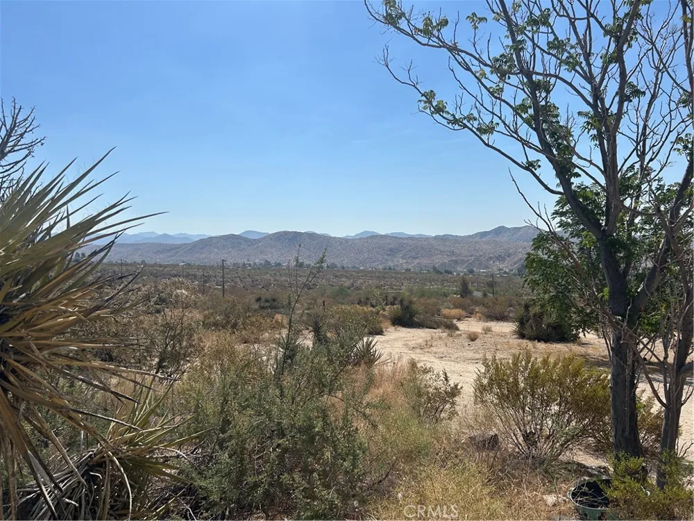 50212 Cedar Drive Morongo Valley, CA 92256