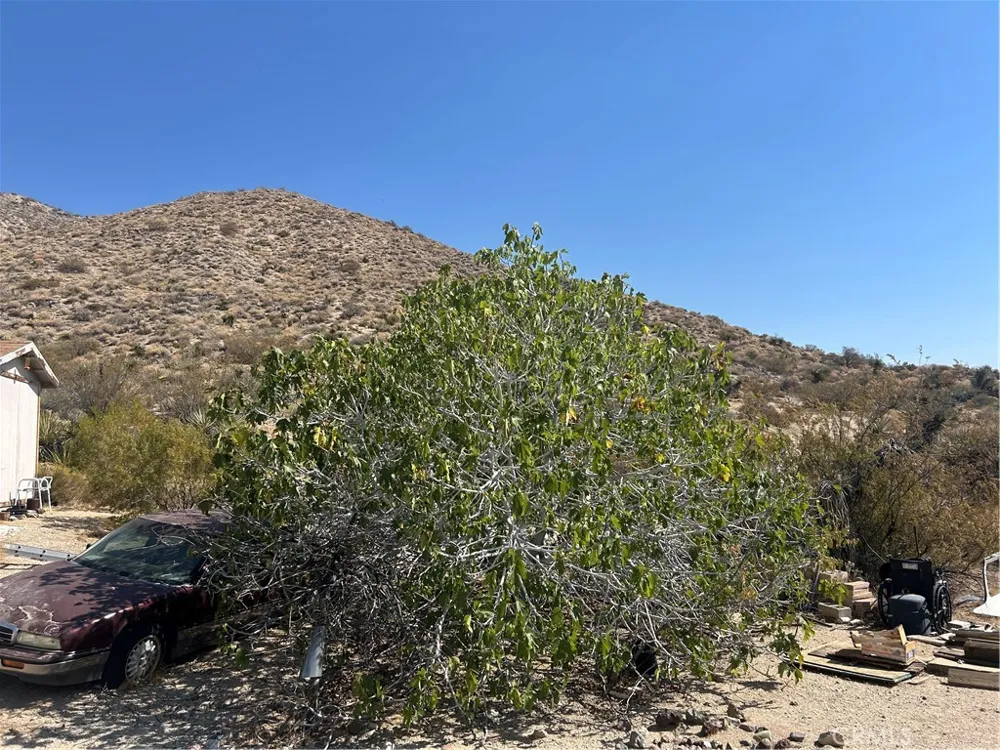 50212 Cedar Drive Morongo Valley, CA 92256