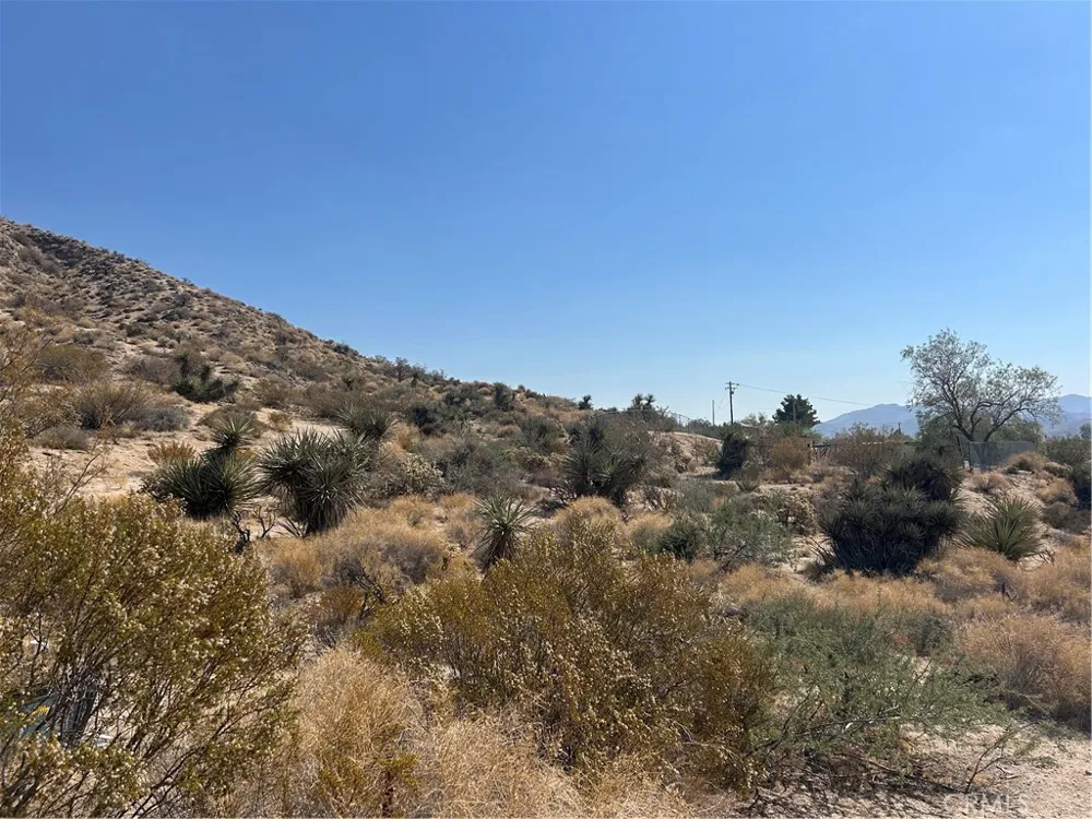 50212 Cedar Drive Morongo Valley, CA 92256