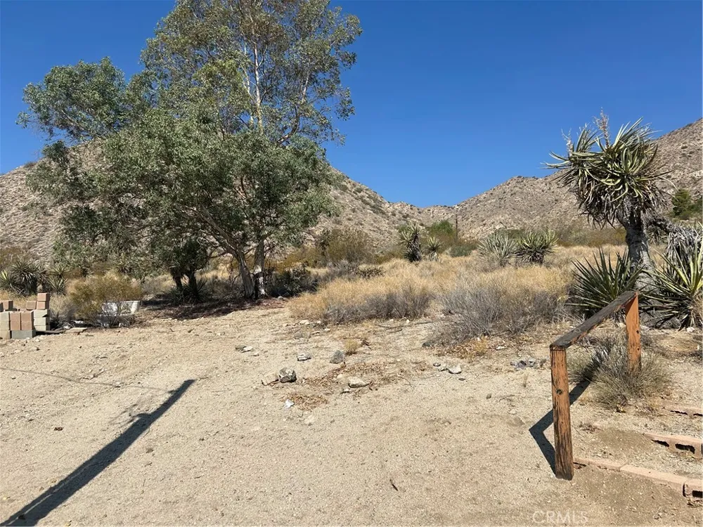 50212 Cedar Drive Morongo Valley, CA 92256
