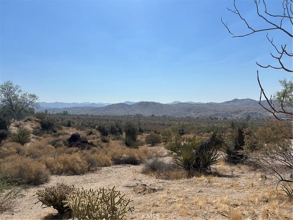 50212 Cedar Drive Morongo Valley, CA 92256