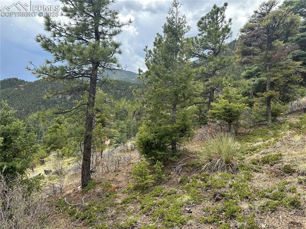 275 Upper Vista Road Manitou Springs, CO 80829