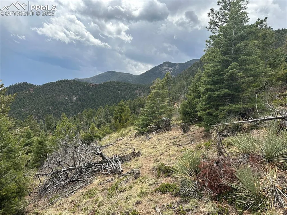 275 Upper Vista Road Manitou Springs, CO 80829