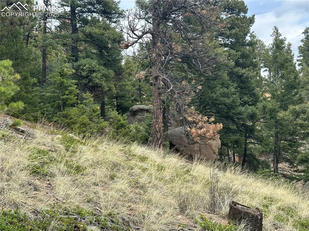 275 Upper Vista Road Manitou Springs, CO 80829