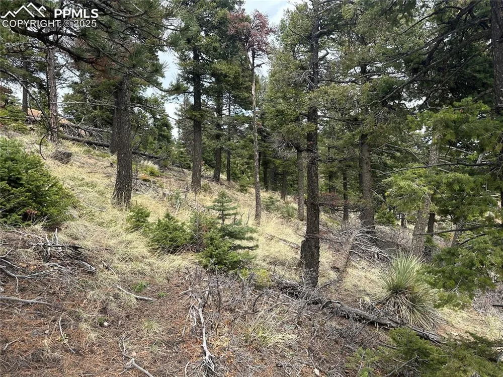 275 Upper Vista Road Manitou Springs, CO 80829