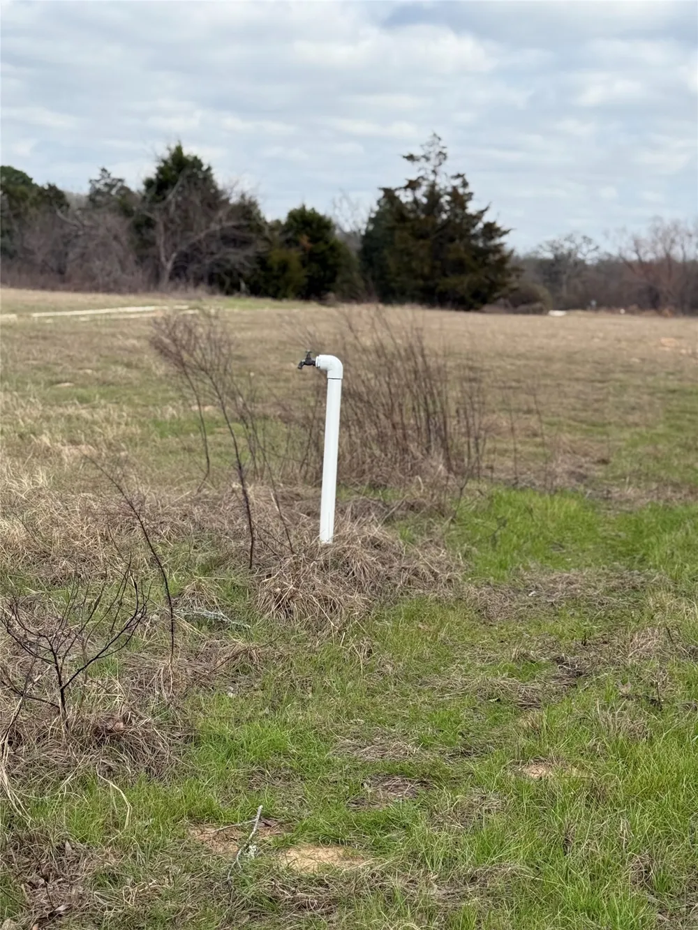 1500 County Road 481 Thrall, TX 76578