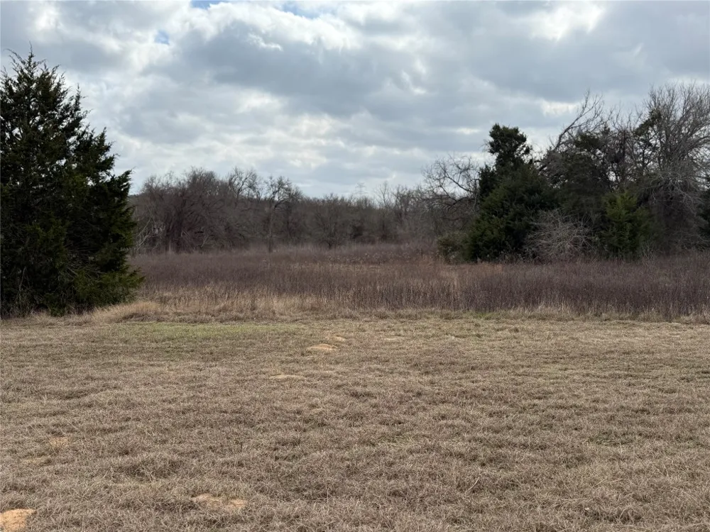 1500 County Road 481 Thrall, TX 76578