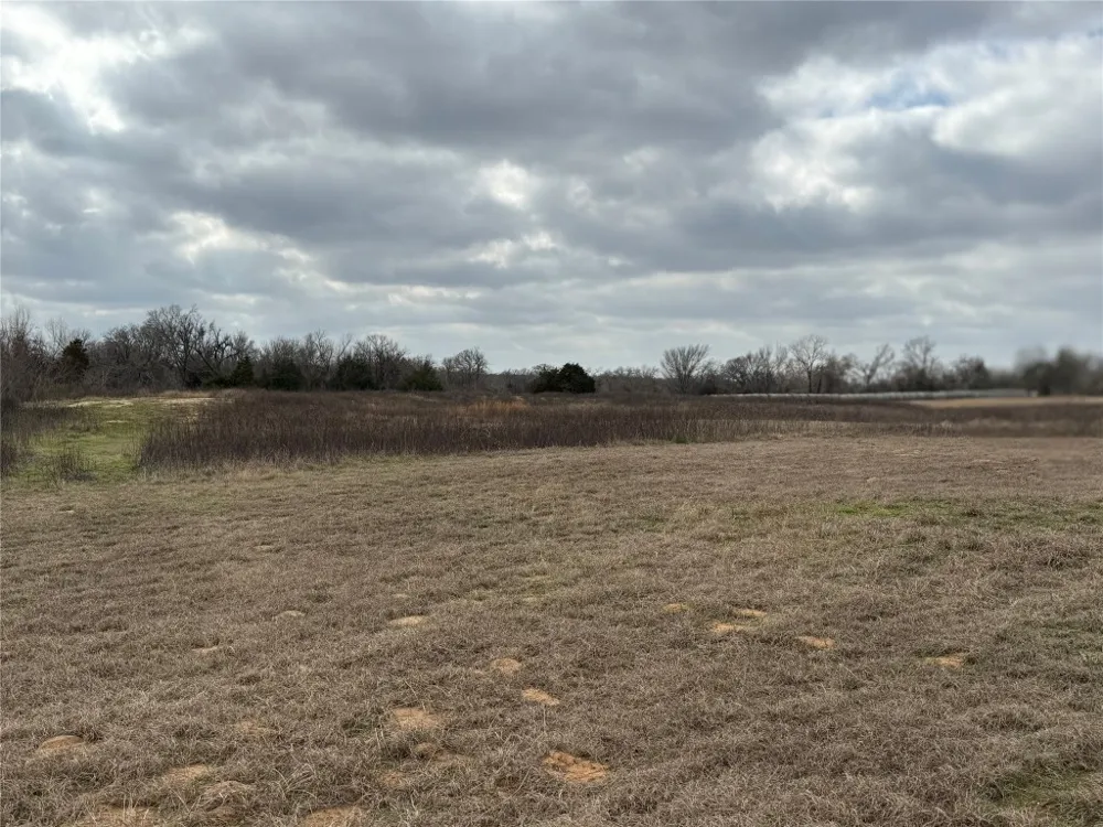 1500 County Road 481 Thrall, TX 76578