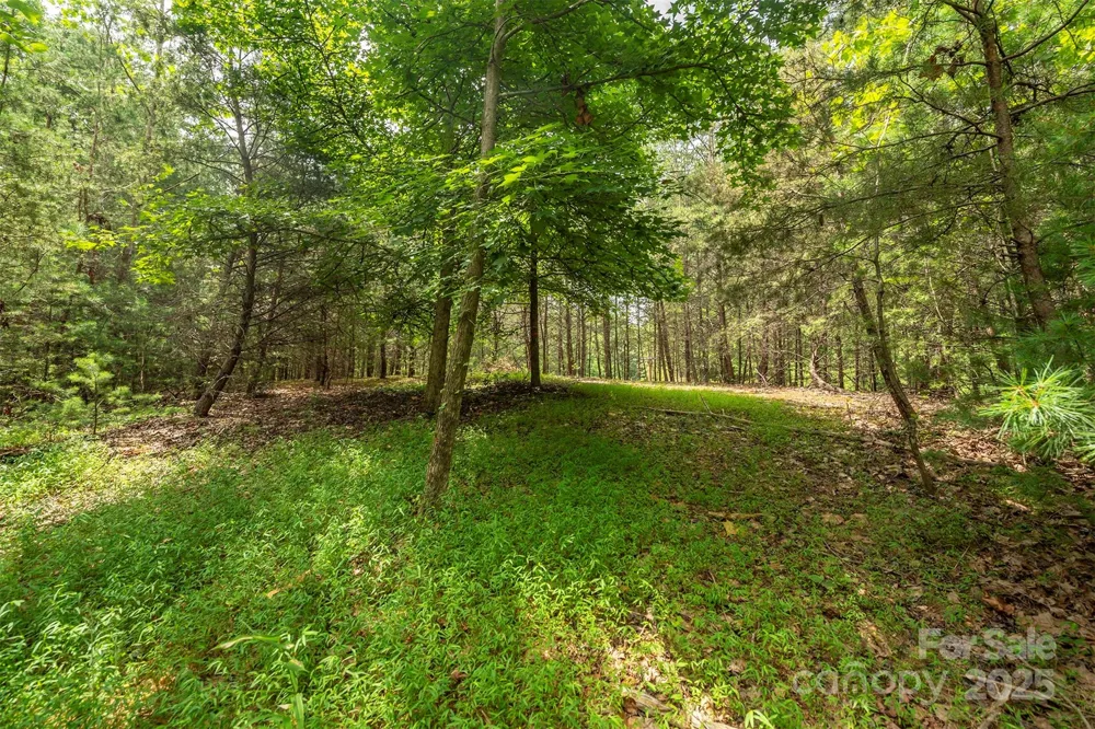 LOT 46 Black Forest Drive Marion, NC 28752