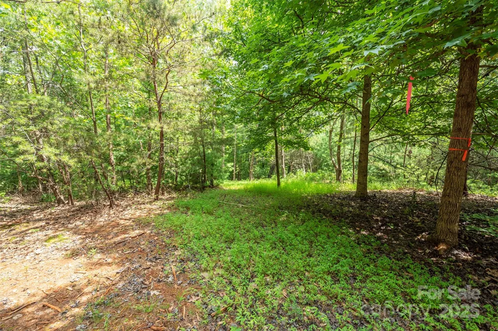 LOT 46 Black Forest Drive Marion, NC 28752