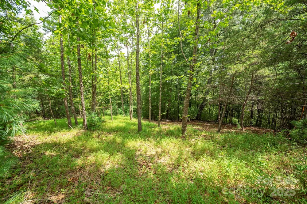 LOT 46 Black Forest Drive Marion, NC 28752