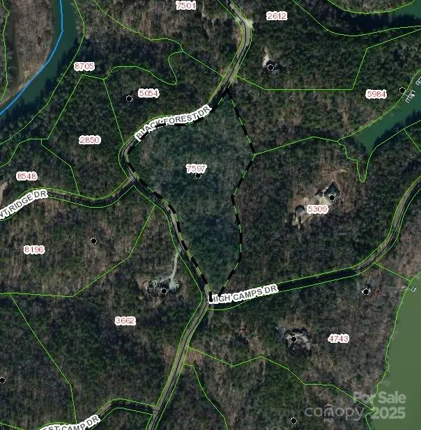 LOT 46 Black Forest Drive Marion, NC 28752