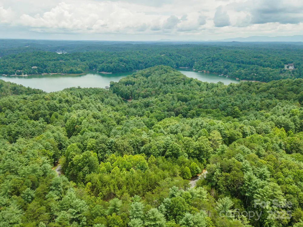 LOT 46 Black Forest Drive Marion, NC 28752