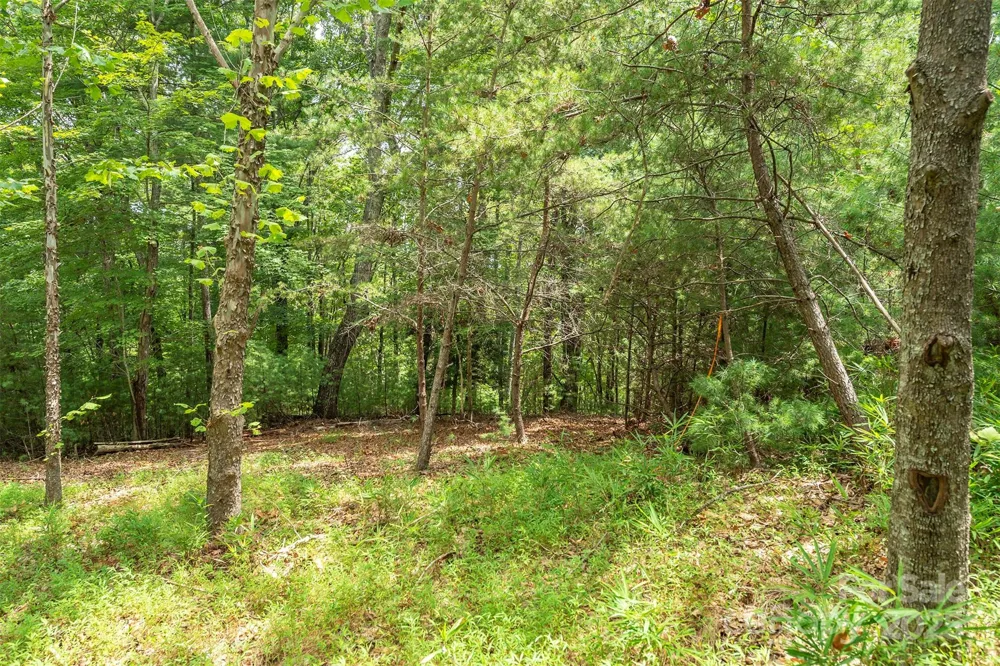LOT 46 Black Forest Drive Marion, NC 28752