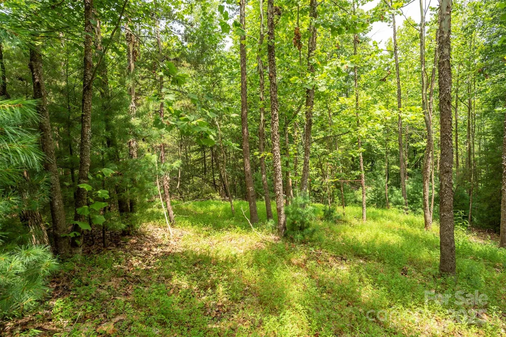 LOT 46 Black Forest Drive Marion, NC 28752