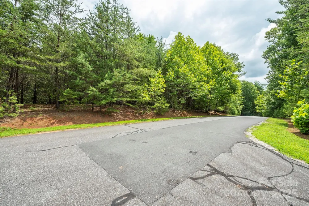 LOT 46 Black Forest Drive Marion, NC 28752