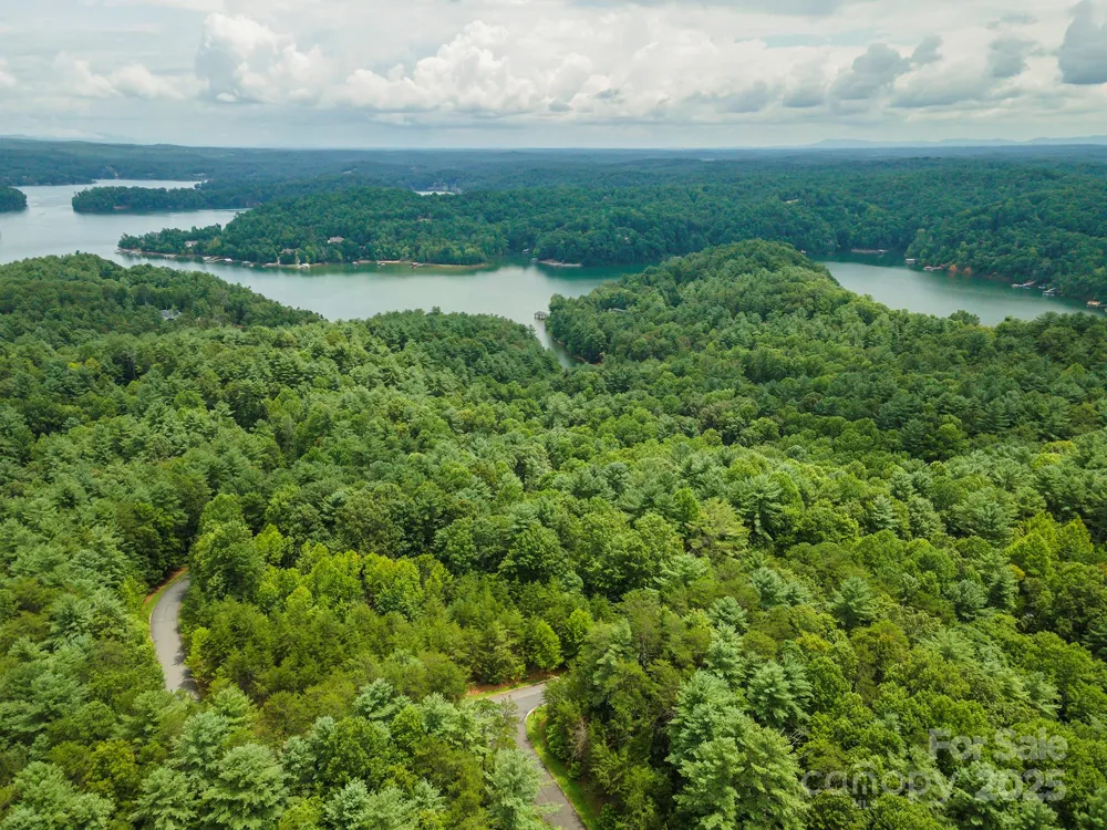 LOT 46 Black Forest Drive Marion, NC 28752