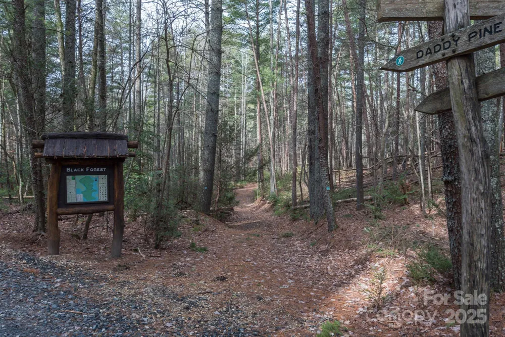 LOT 46 Black Forest Drive Marion, NC 28752