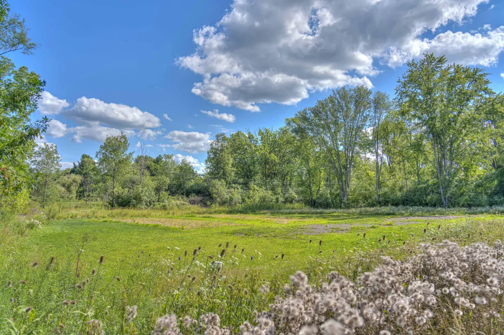 Spring Arbor Rd Road Jackson, MI 49201