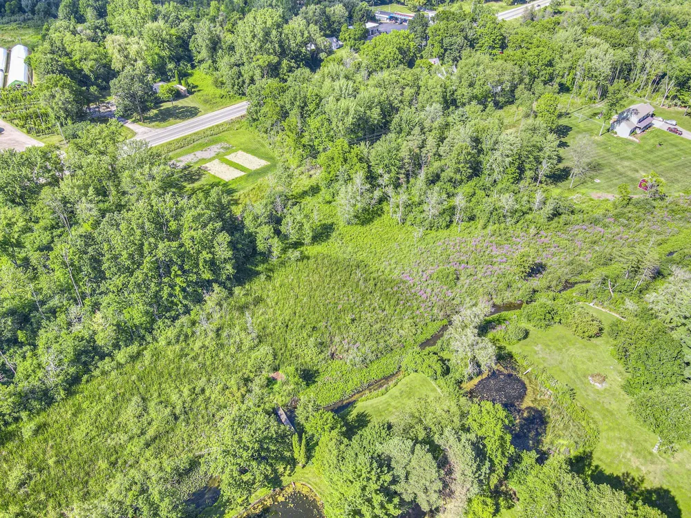 Spring Arbor Rd Road Jackson, MI 49201