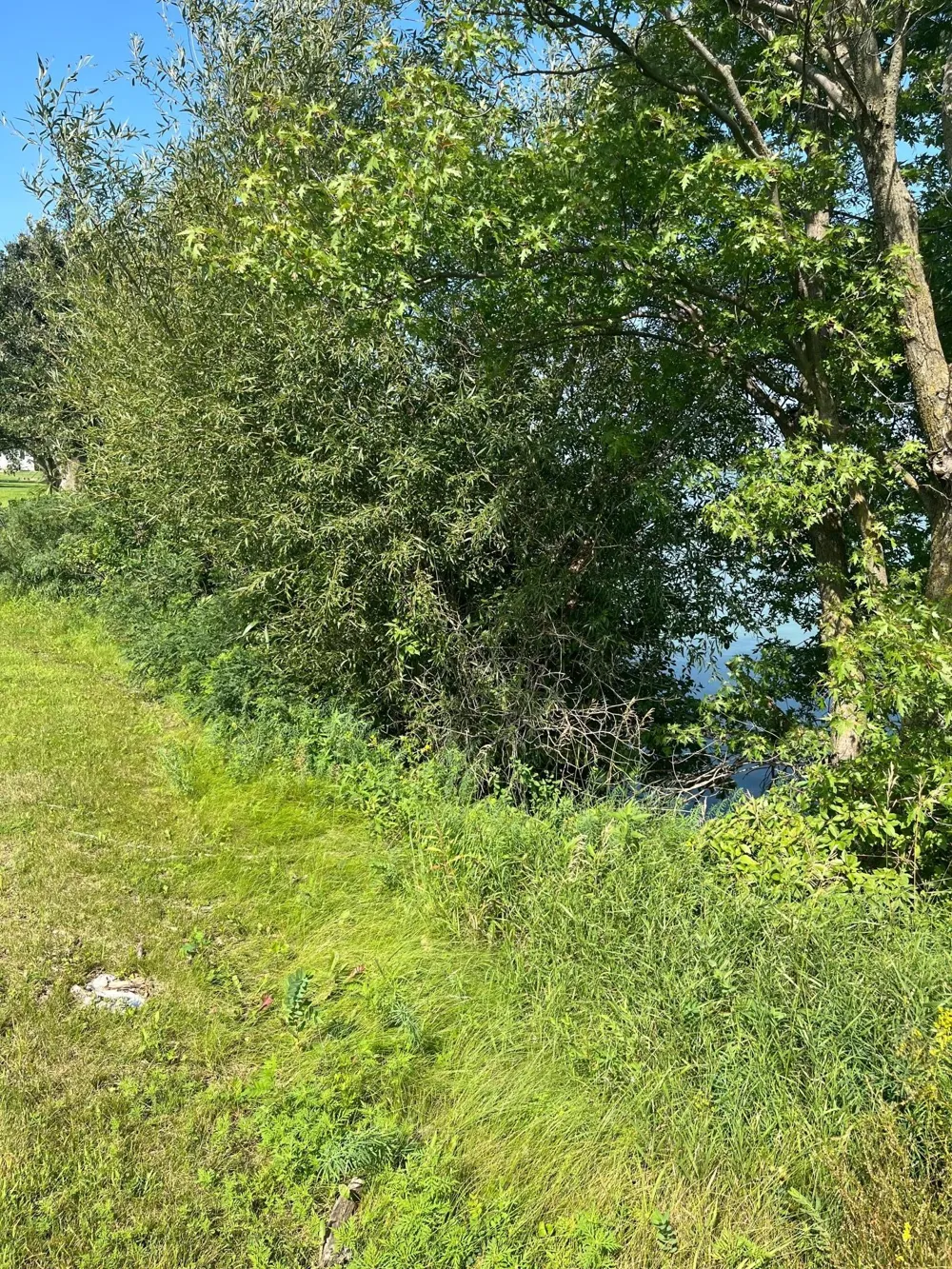 640 West Lake Street W Avoca, MN 56114