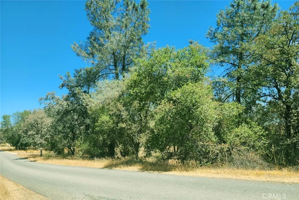 9051 Regent Way Oregon House, CA 95962