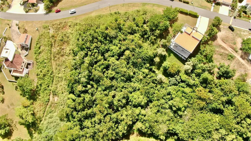 PORT ROAD ROAD #17 Humacao, PR 00791