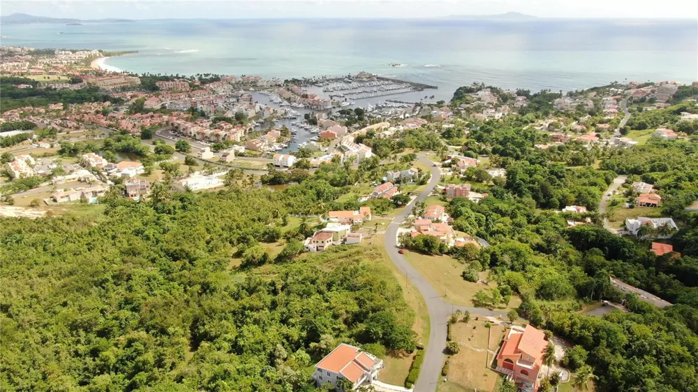 PORT ROAD ROAD #17 Humacao, PR 00791