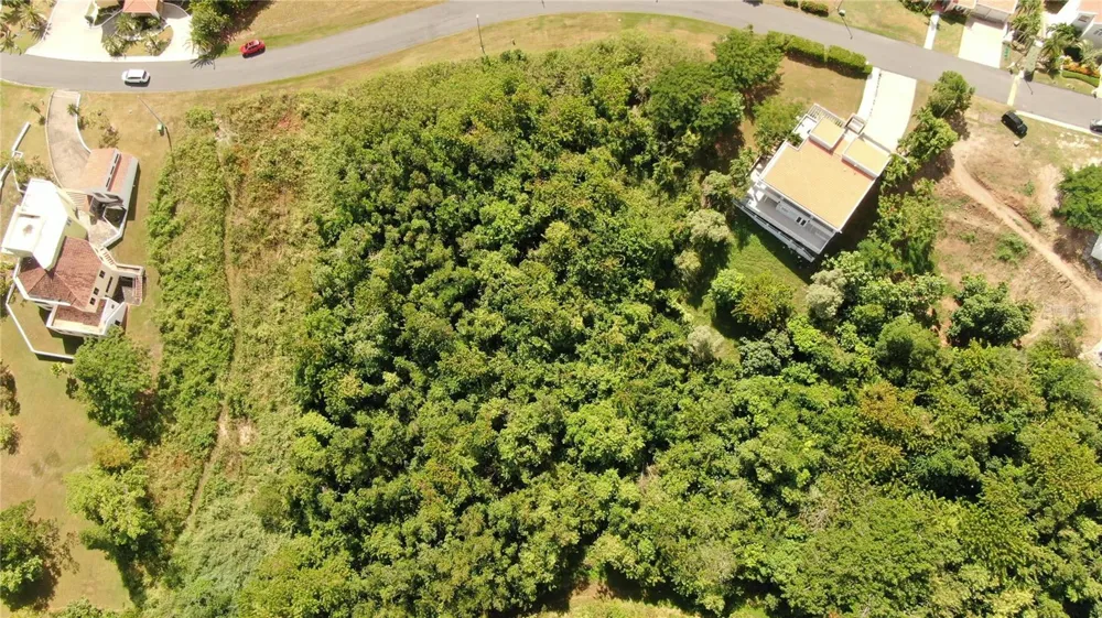 PORT ROAD ROAD #17 Humacao, PR 00791