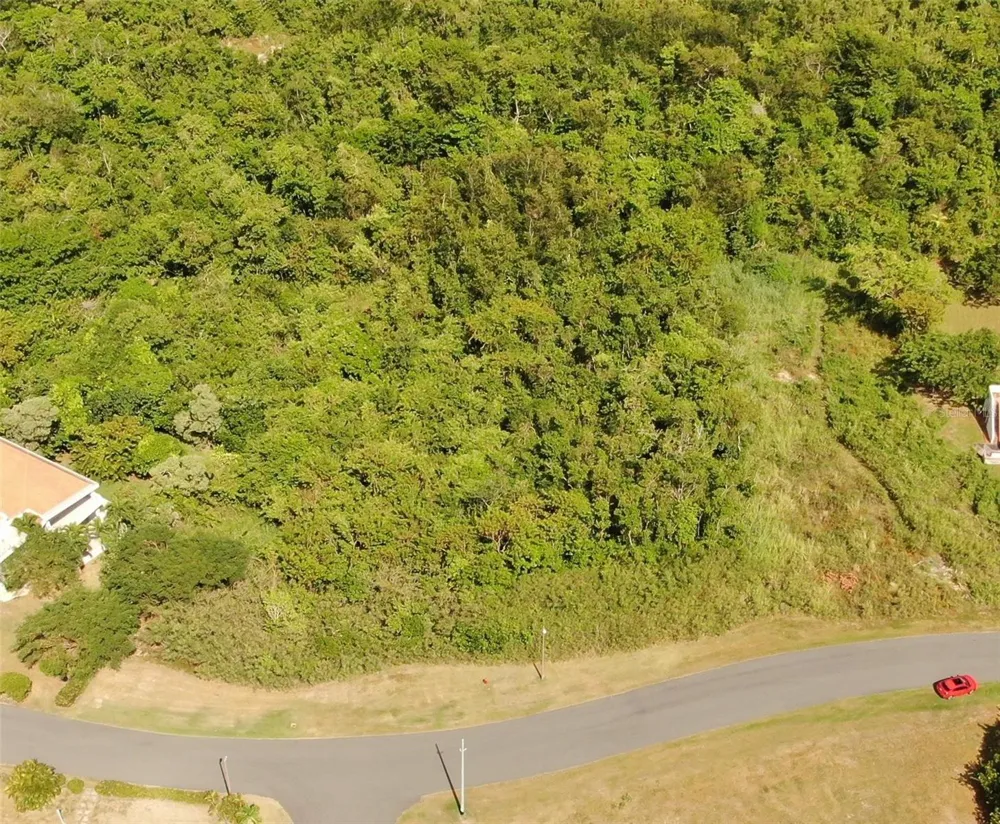 PORT ROAD ROAD #17 Humacao, PR 00791