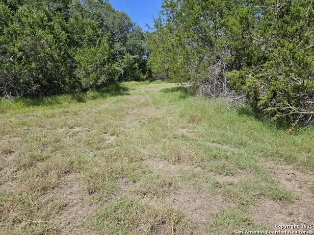 LOT 155 La Luna Dr Blanco, TX 78606