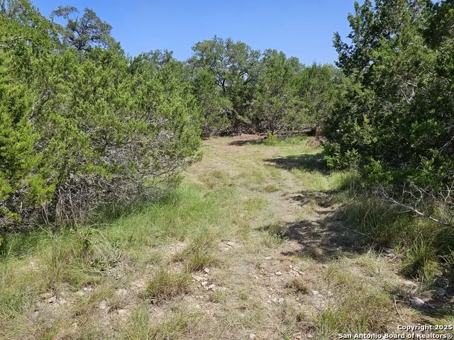 LOT 155 La Luna Dr Blanco, TX 78606