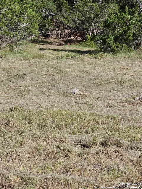 LOT 155 La Luna Dr Blanco, TX 78606