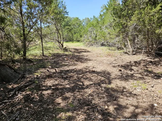 LOT 155 La Luna Dr Blanco, TX 78606