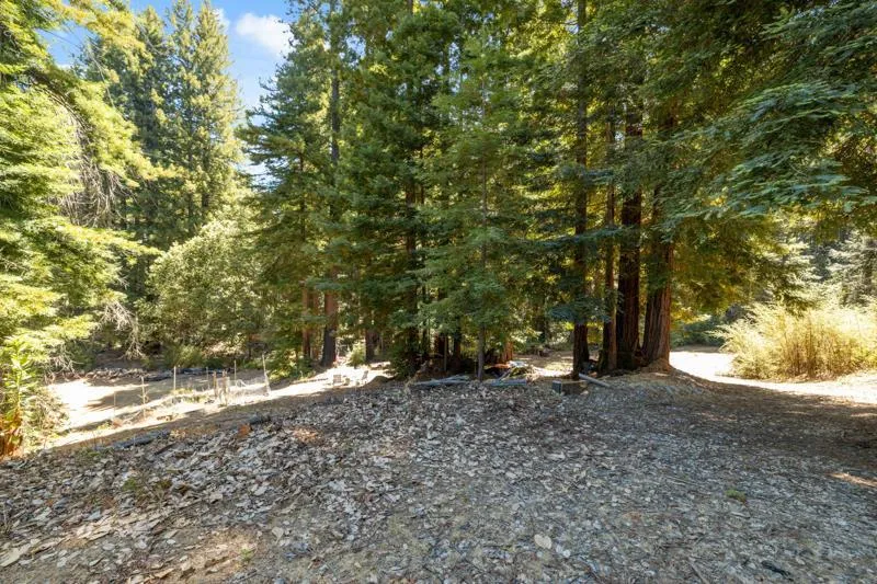 2472 Fanning Grade Ben Lomond, CA 95005
