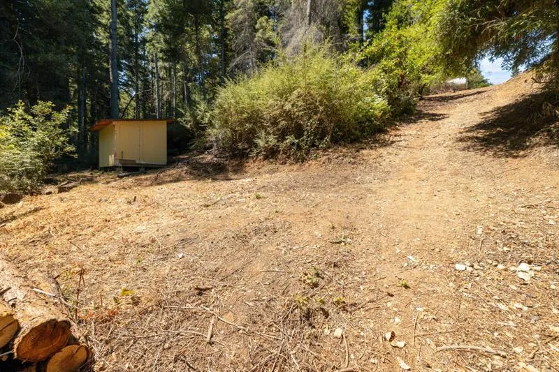 2472 Fanning Grade Ben Lomond, CA 95005