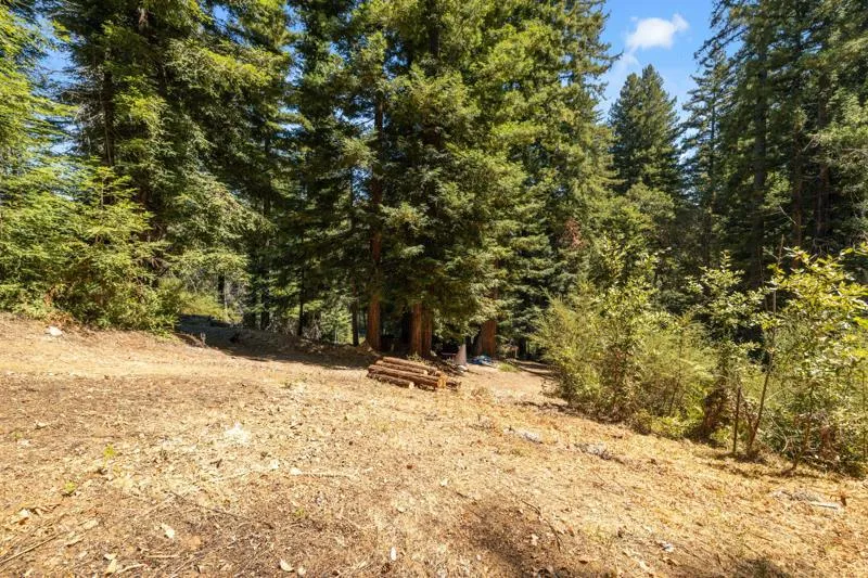 2472 Fanning Grade Ben Lomond, CA 95005