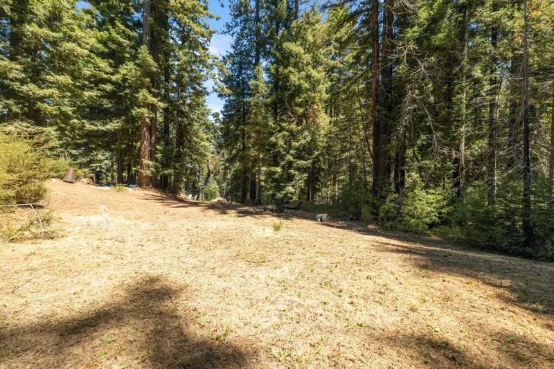 2472 Fanning Grade Ben Lomond, CA 95005